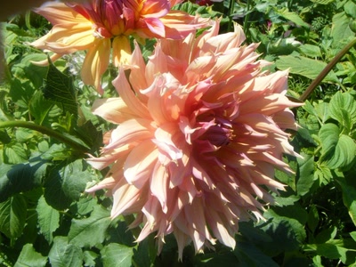 Résultat de recherche: Divers