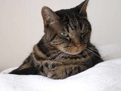 Résultat de recherche: Divers