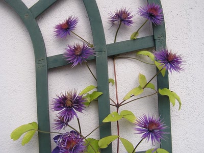 Résultat de recherche: Divers