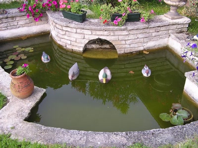 Résultat de recherche: Divers