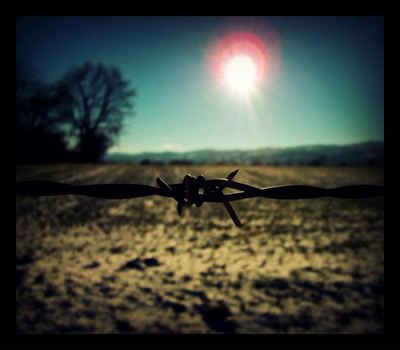 Œuvre de refletsdargent: ça pique