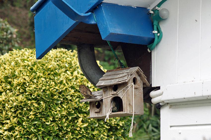 Presqu'île du Cap-Ferret