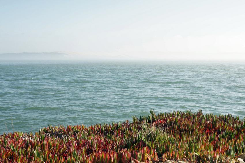 Presqu'île du Cap-Ferret