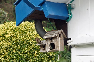 Résultat de recherche: Presqu'île du Cap-Ferret