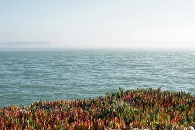 Résultat de recherche: Presqu'île du Cap-Ferret