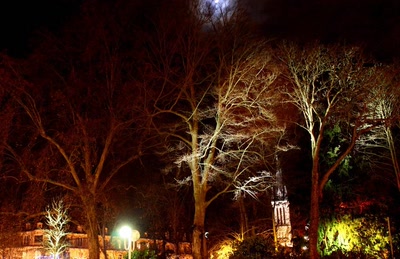 Œuvre de rami68: La forêt enchantée (1)