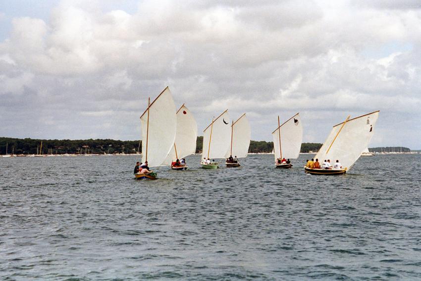 Pinasses à voile