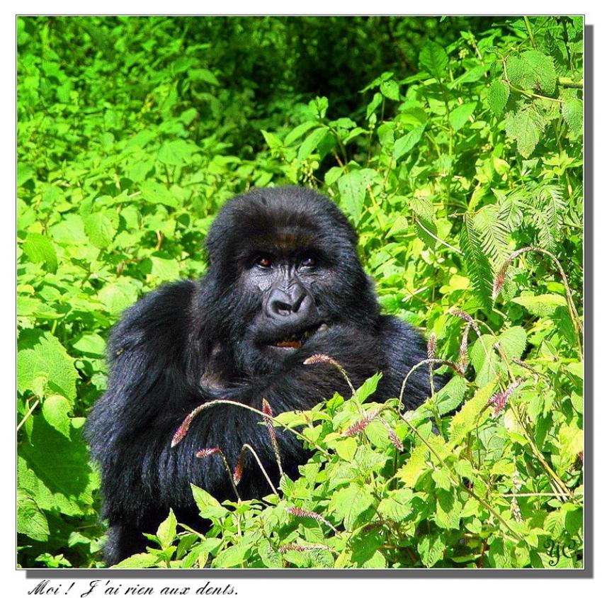 Je voulais vous dire - " Moi ! Je n'ai rien aux de