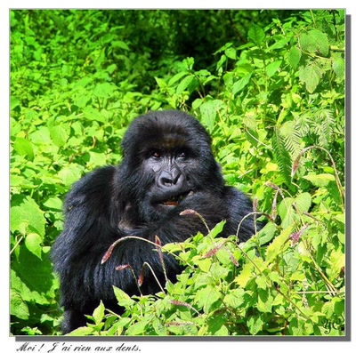 Œuvre de Chasseur de Temps: Je voulais vous dire - " Moi ! Je n'ai rien aux de