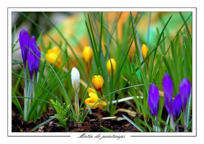 Œuvre de Chasseur de Temps: Matin de printemps
