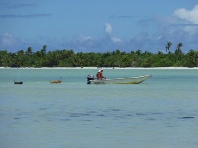 Résultat de recherche: On suit....