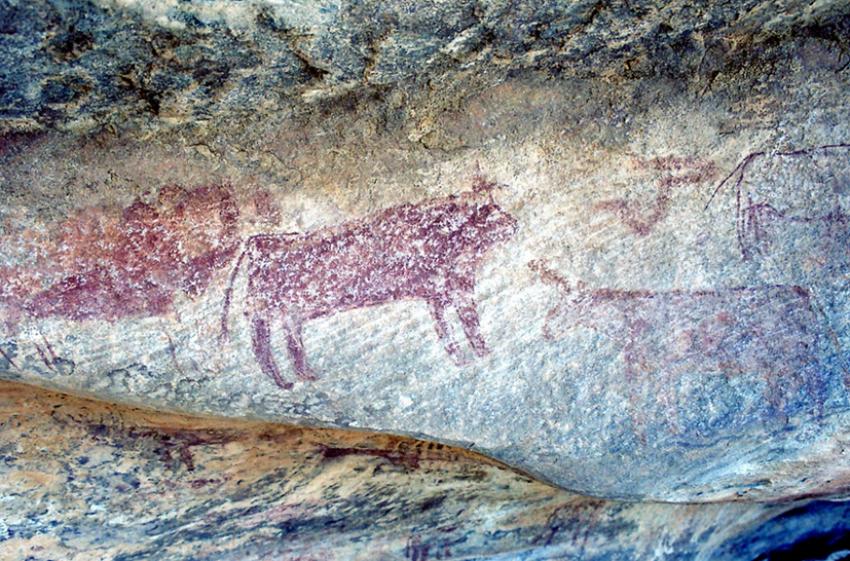 Sur les traces de Théodore Monod