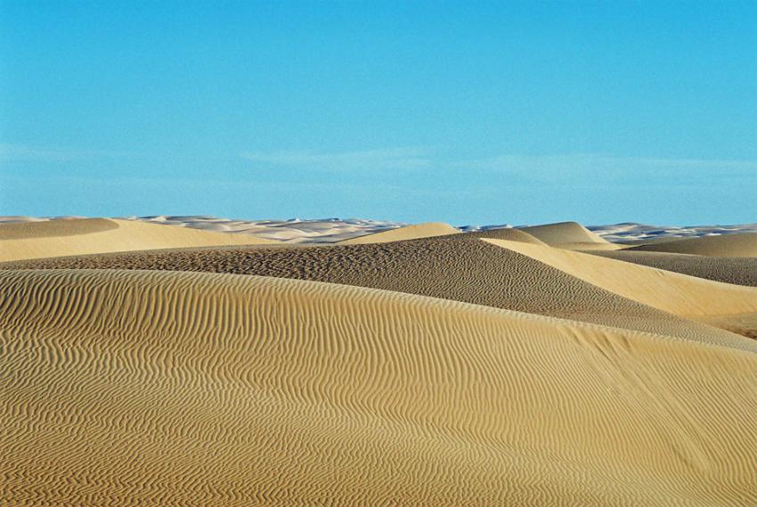 Sur les traces de Théodore Monod