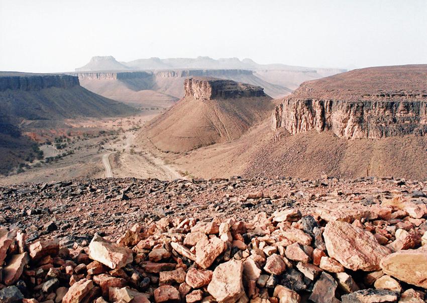 Sur les traces de Théodore Monod