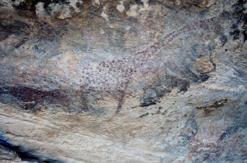 Sur les traces de Théodore Monod ( Maurutanie)