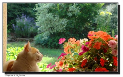 Œuvre de Chasseur de Temps: Poupsie à la fenêtre