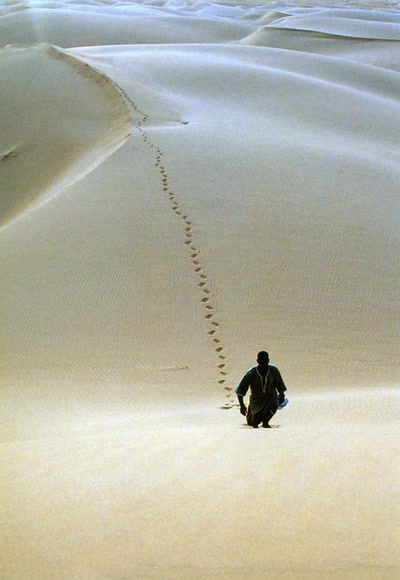 Sur les traces de Théodore Monod (Mauritanie)