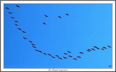 Œuvre de Chasseur de Temps: Le Peuple Migrateur