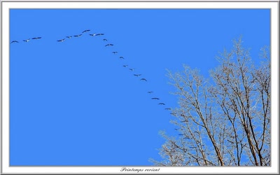 Œuvre de Chasseur de Temps: Printemps revient