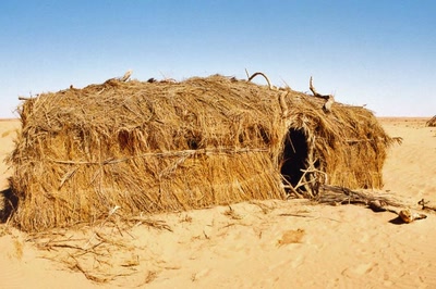Sur les traces de Théodore Monod (Mauritanie)