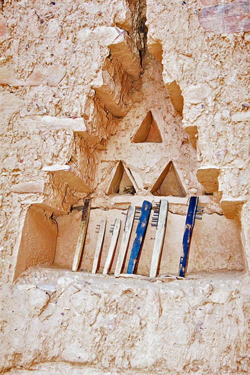 Sur les traces de Théodore Monod (Mauritanie)