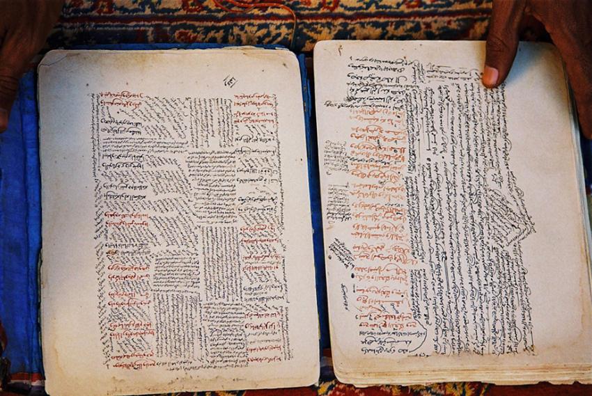 Sur les traces de Théodore Monod (Mauritanie)