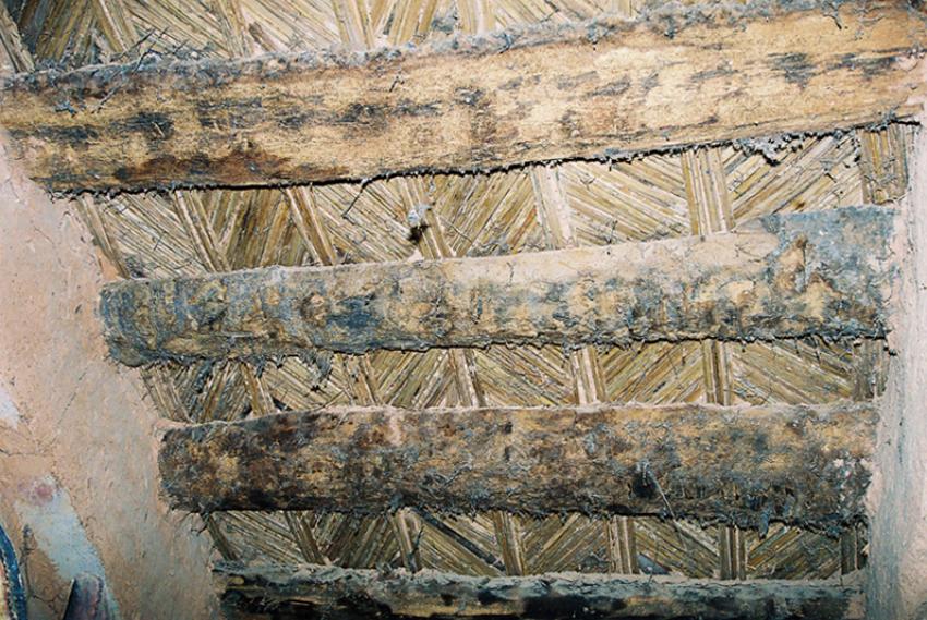 Sur les traces de Théodore Monod (Mauritanie)