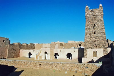 Sur les traces de Théodore Monod (Mauritanie)