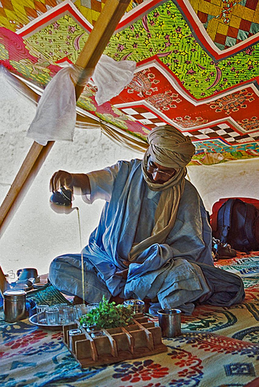 Sur les traces de Théodore Monod