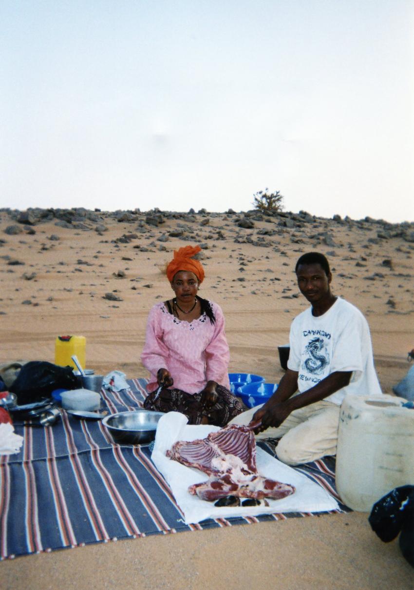 Sur les traces de Théodore Monod (Mauritanie)