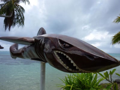 Œuvre de toe: Petit requin deviendra grand !