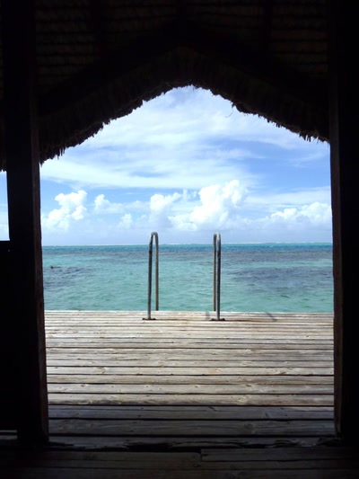 Œuvre de toe: 1,2,3, plongez !!