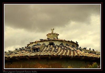 Résultat de recherche: Le Tour du Portugal en 21 jours    (Page 2)