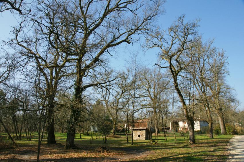 Sur les pas de François Mauriac