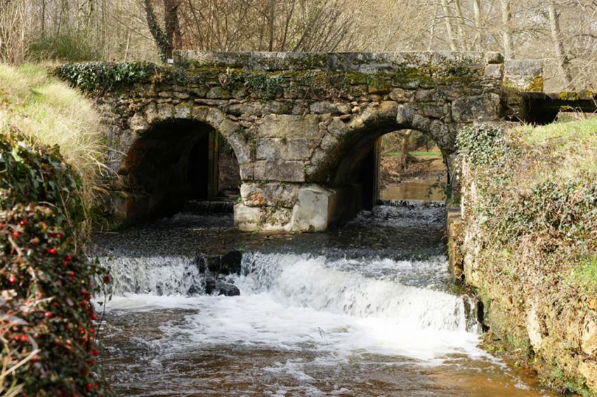 Sur les pas de François Mauriac