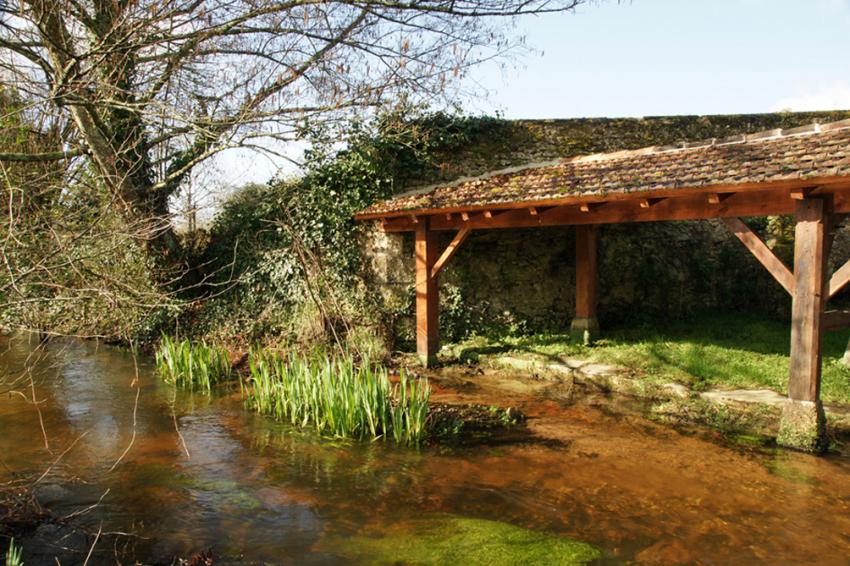 Sur les pas de François Mauriac