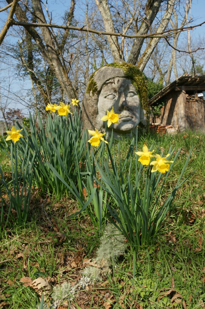 Sur les pas de François Mauriac