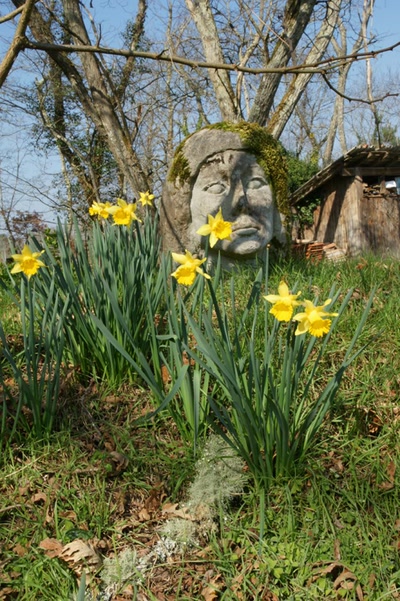 Sur les pas de François Mauriac