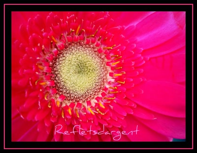 Œuvre de refletsdargent: coeur tendre