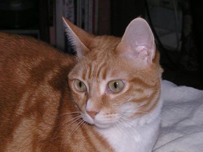 Résultat de recherche: divers