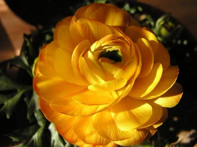 Résultat de recherche: divers