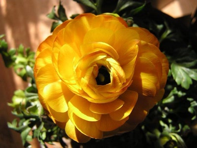 Résultat de recherche: divers