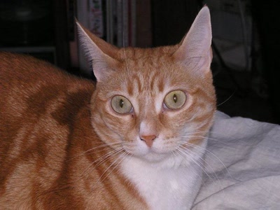 Résultat de recherche: divers