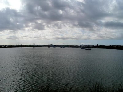 Résultat de recherche: grau du roi