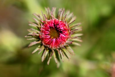 Œuvre de rami68: Et celle-ci ?