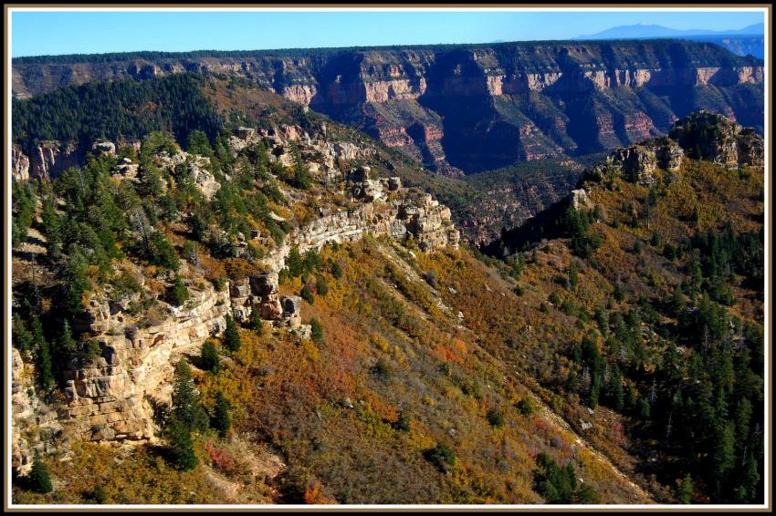 Grand Canyon du Colorado - Arizona