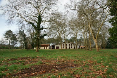 Sur les pas de François Mauriac