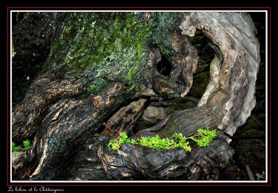 Œuvre de Chasseur de Temps: Le Tour du Portugal en 21 jours   (Page14)