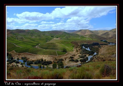 Résultat de recherche: Le Tour du Portugal en 21 jours   (Page17)