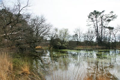 Sur les pas de François Mauriac